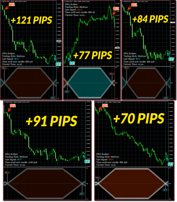 forex spectrum - highly converting forex product fibo quantum , forex monarch , forex triple hit, dna scalper, forex products, annaga production forex, forex, forex factory, xm forex, forex trading, forex شرح, finviz forex, hot forex, forex market hours, forex peace army, forex signals, forex trading, forex for beginners, forex live, forex trading for beginners, forex lifestyle, forex trading live, forex strategy, forex trading course, forex analysis, forex analysis today,