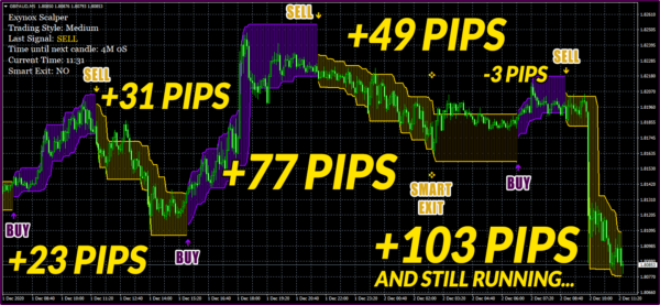 exynox scalper - highly converting forex product, exynox scalper, exynox scalper review, exynox scalper free download, exynox scalper - highly converting forex product, exynos scalper review, Alfa Scalper, FX Scalper X free download, Exynos Scalper review, Best Forex indicator free download, Forex robot free download, Fxprosystems, Forex indicators download, forex products, forex trading, forex trading strategies, forex for beginners, forex lifestyle, forex live, forex trading live, forex signals, forex analysis, forex app, forex account flip, forex academy, forex account,